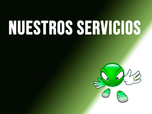 Servicios